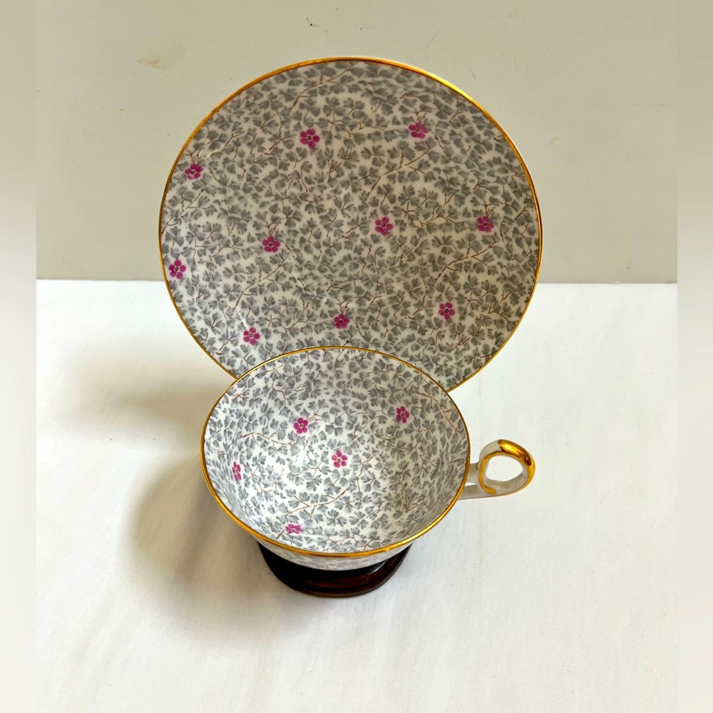Old Royal Tea Cup and Saucer Gray Pink Chintz Blossom Bone China England #2972